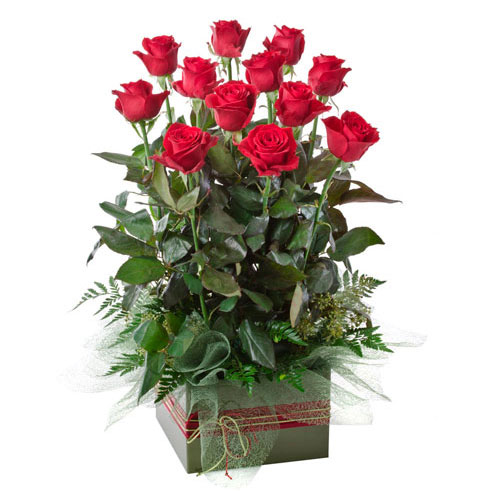 Boxed presentation or red roses