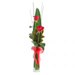 2 long stemmed red roses in glass vase