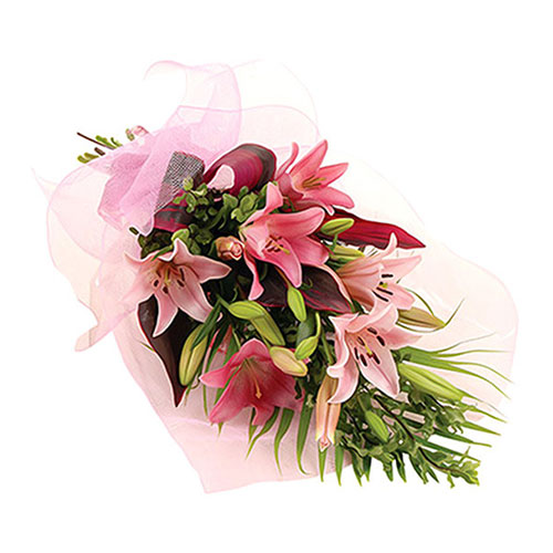 Pink lilies wrapped