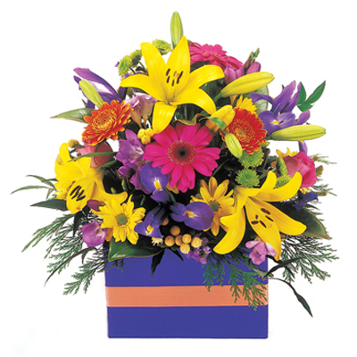 Vibrant Boxed arrangement of flowers