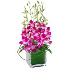 Orchids in Glass Cube